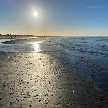 Daire T2 Refait A Neuf