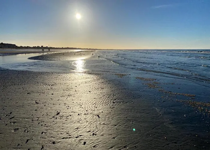 Apartmán T2 Refait A Neuf